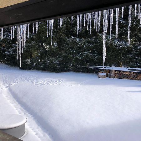 Apartmán s výhledem na Jezerní stěnu Železná Ruda Esterno foto
